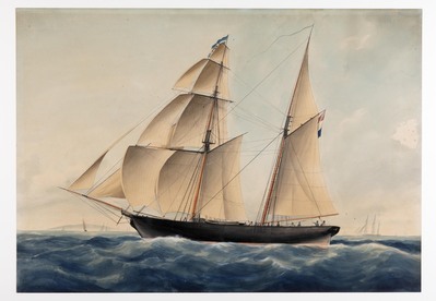 3ed24787-13ac-49b2-b2f7-d471e99fd08b.jpg; P1007; ;