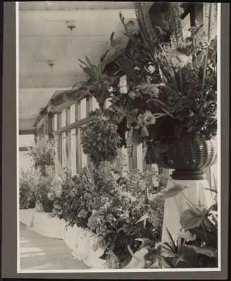 F52987-1_001_NL-RtMMR_Nedlloyd-Fotocollectie.jpg; F52987-1; ;